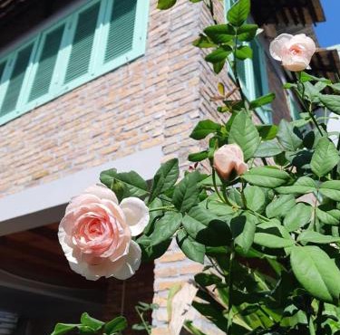 Nam Thi Holiday Home